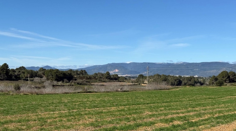 Tarragona - Puigpelat - 44199m2