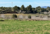 Finca rústica en venda a Puigpelat ref.: TR256136 foto
