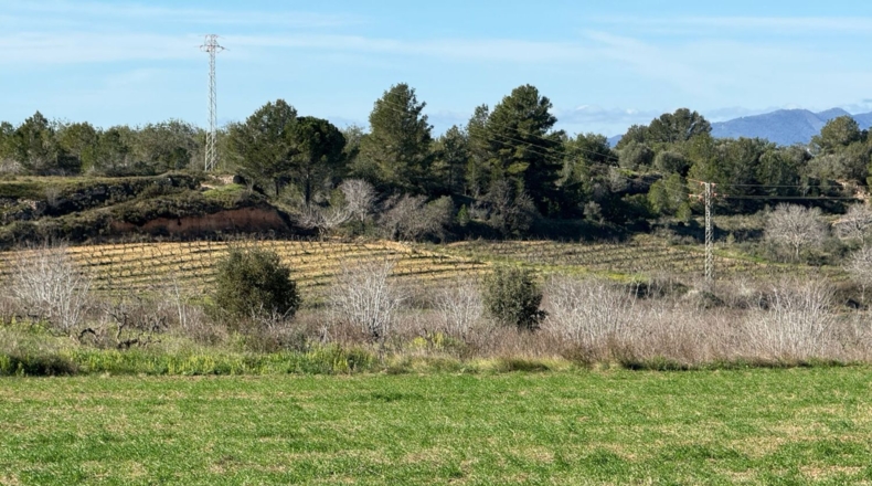 Tarragona - Puigpelat - 44199m2