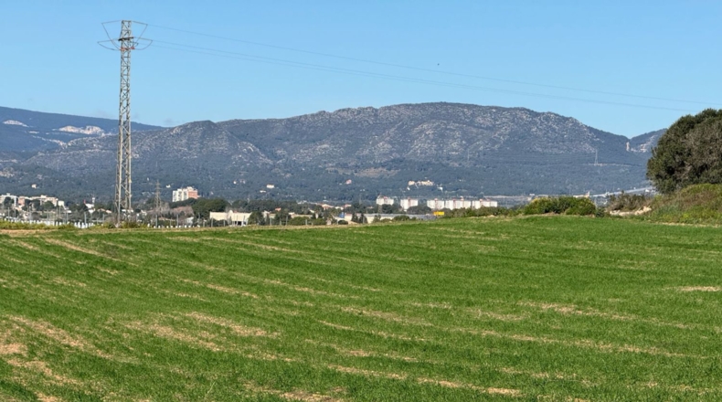 Tarragona - Puigpelat - 44199m2