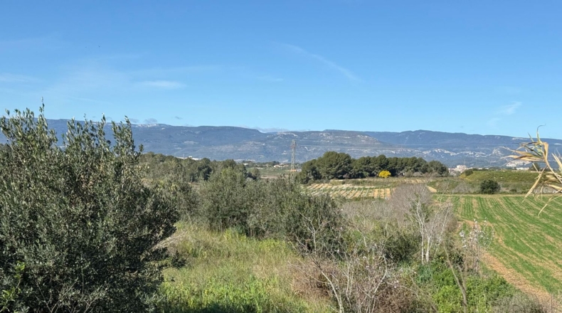 Tarragona - Puigpelat - 44199m2