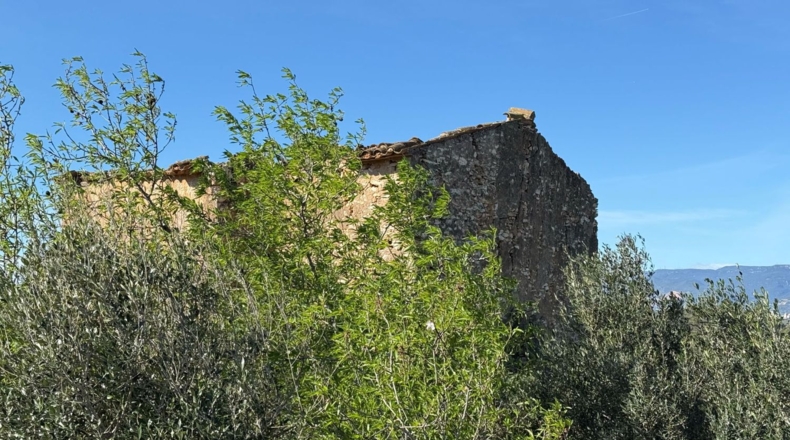 Tarragona - Puigpelat - 44199m2