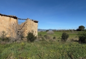 Finca rústica en venda a Puigpelat ref.: TR256136 foto