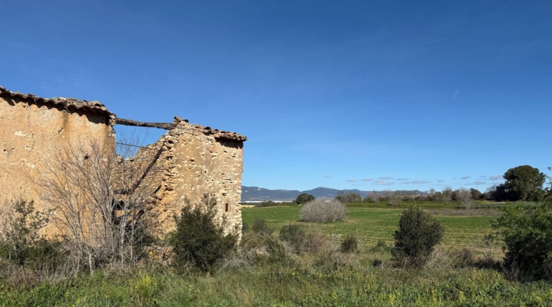 Tarragona - Puigpelat - 44199m2