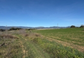 Finca rústica en venda a Puigpelat ref.: TR256136 foto