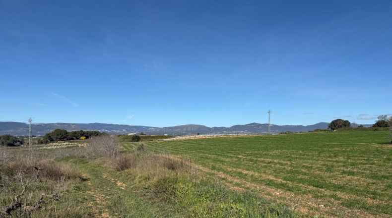 Tarragona - Puigpelat - 44199m2