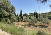 Finca rústica en venta en l'Arboç ref: TR261638 foto