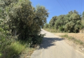 Finca rústica en venta en l'Arboç ref: TR261638 foto