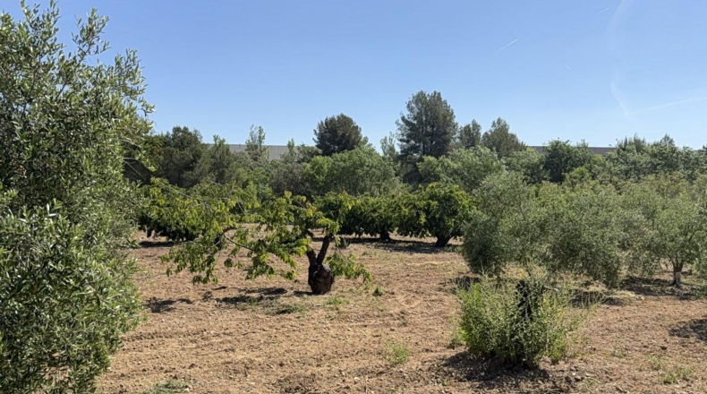 Tarragona - l'Arboç - 17000m2