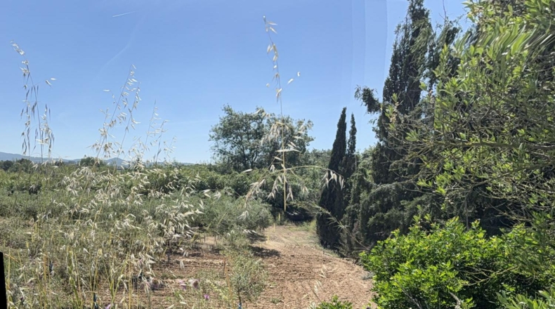Tarragona - l'Arboç - 17000m2