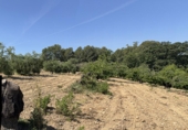 Finca rústica en venta en l'Arboç ref: TR261638 foto