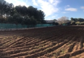Finca rústica en venda a el Vendrell ref.: TR66720 foto