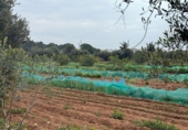 Finca rústica en venda a Torredembarra ref.: TR256134 foto