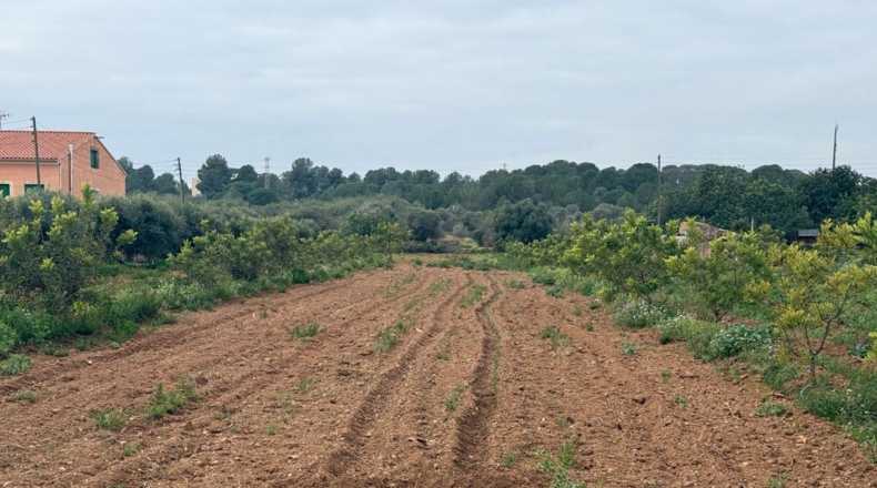 Tarragona - Torredembarra - 25000m2