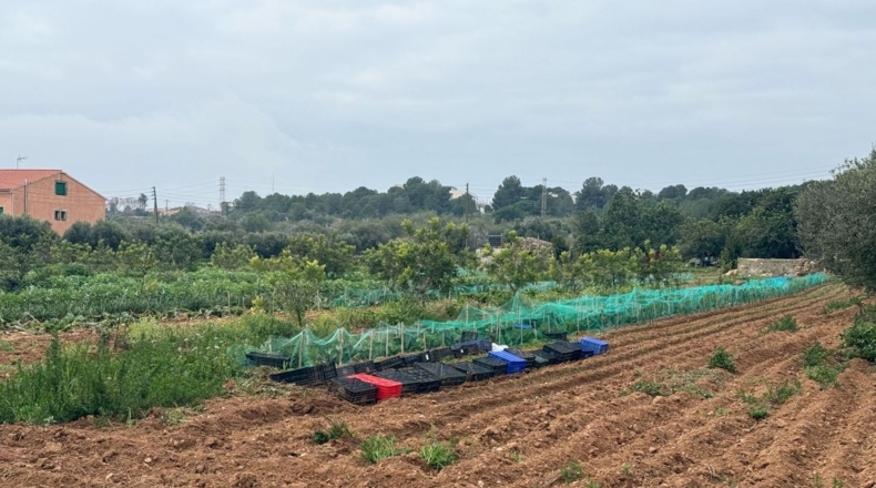 Tarragona - Torredembarra - 25000m2