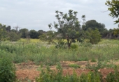 Finca rústica en venda a Torredembarra ref.: TR256134 foto