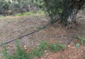 Finca rústica en venda a Torredembarra ref.: TR256134 foto