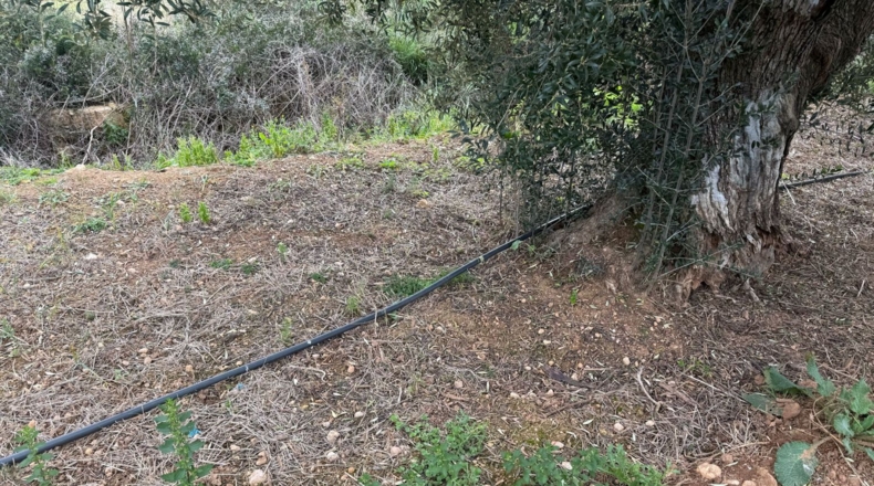Tarragona - Torredembarra - 25000m2