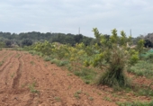 Finca rústica en venda a Torredembarra ref.: TR256134 foto