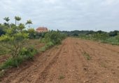 Finca rústica en venda a Torredembarra ref.: TR256134 foto
