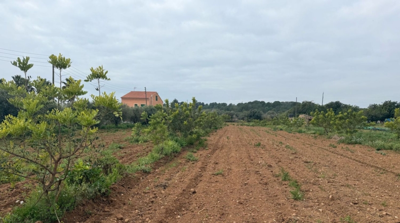 Tarragona - Torredembarra - 25000m2