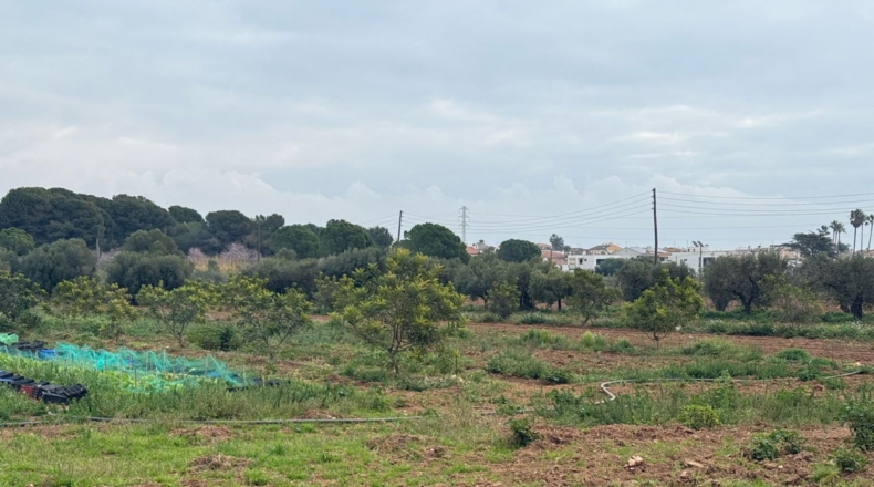 Tarragona - Torredembarra - 25000m2