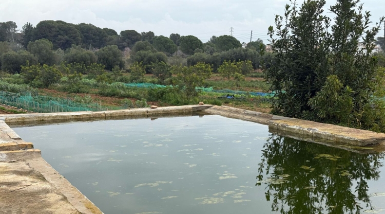 Tarragona - Torredembarra - 25000m2