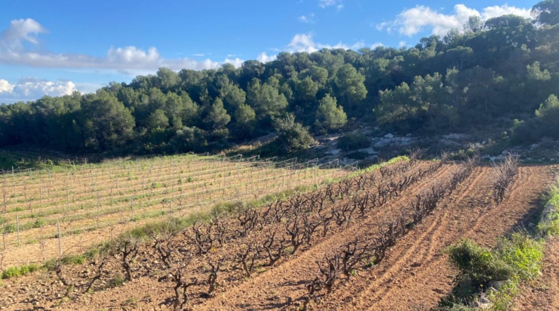 Tarragona - Albinyana - 55000m2