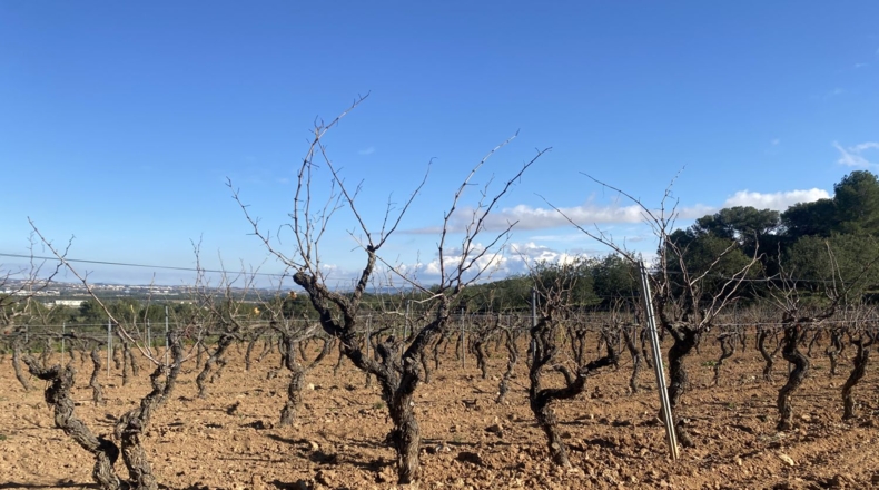Tarragona - Albinyana - 55000m2