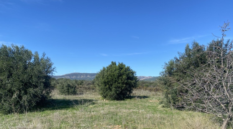 Tarragona - el Pont d'Armentera - 40900m2