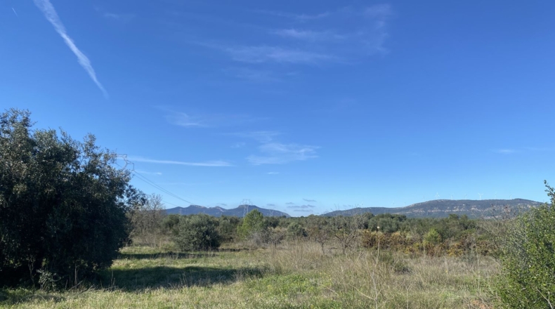 Tarragona - el Pont d'Armentera - 40900m2
