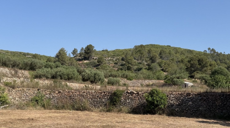 Tarragona - la Pobla de Montornès - 12814m2