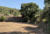 Finca rústica en venda a la Pobla de Montornès ref.: TR252792 foto