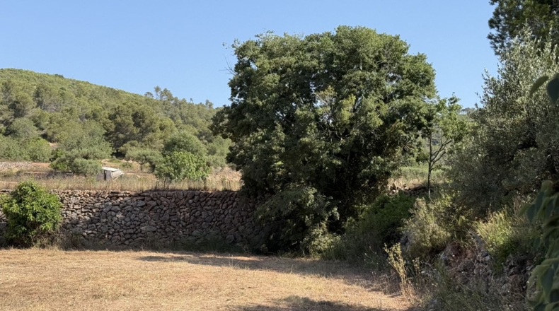 Tarragona - la Pobla de Montornès - 12814m2
