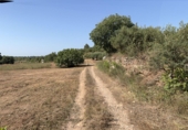 Finca rústica en venda a la Pobla de Montornès ref.: TR252792 foto