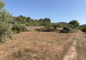 Finca rústica en venda a la Pobla de Montornès ref.: TR252792 foto
