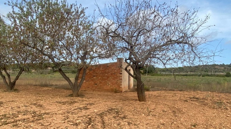 Tarragona - Masllorenç - 17000m2