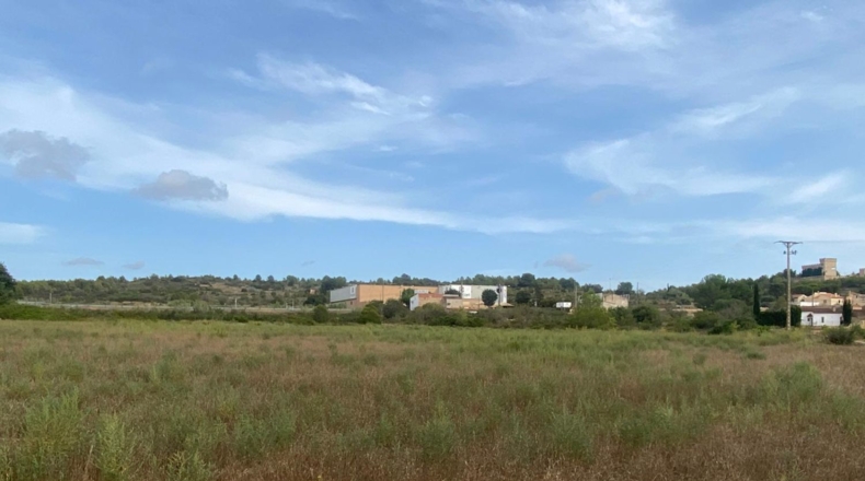 Tarragona - Masllorenç - 17000m2