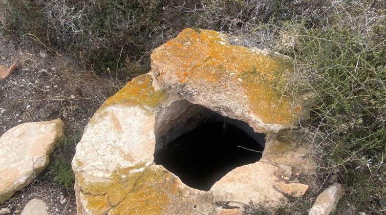 Tarragona - Masllorenç - 17000m2