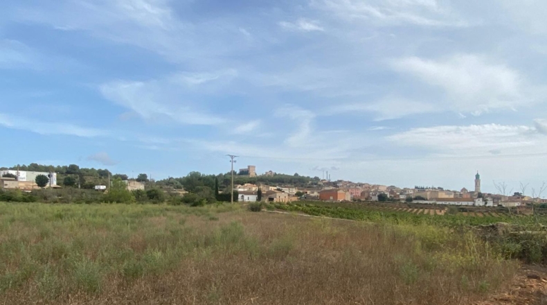 Tarragona - Masllorenç - 17000m2