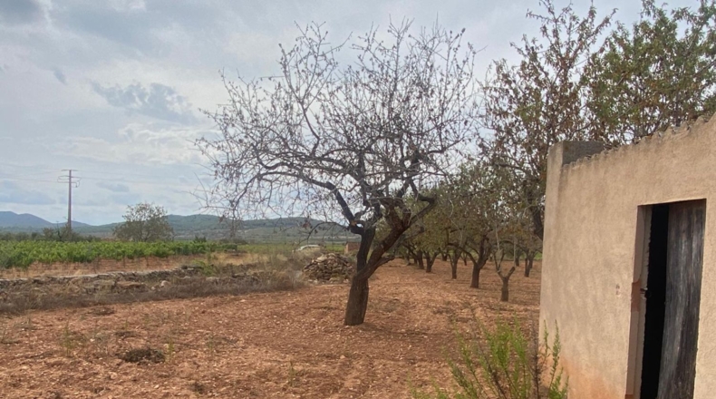 Tarragona - Masllorenç - 17000m2