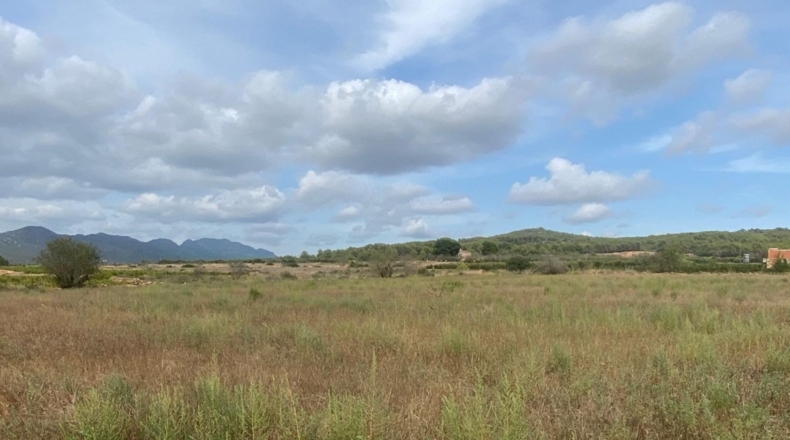 Tarragona - Masllorenç - 17000m2