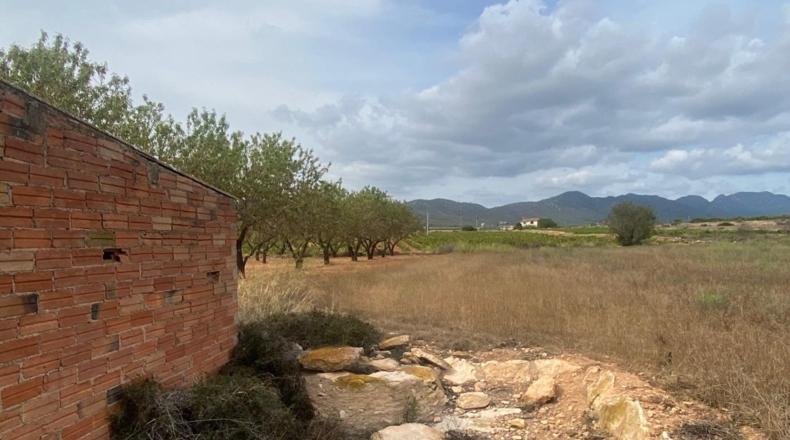 Tarragona - Masllorenç - 17000m2