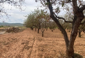 Foto 16