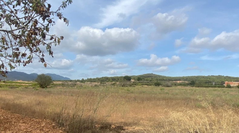 Tarragona - Masllorenç - 17000m2