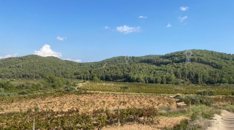 Tarragona - Альбиньяна - 120000m2