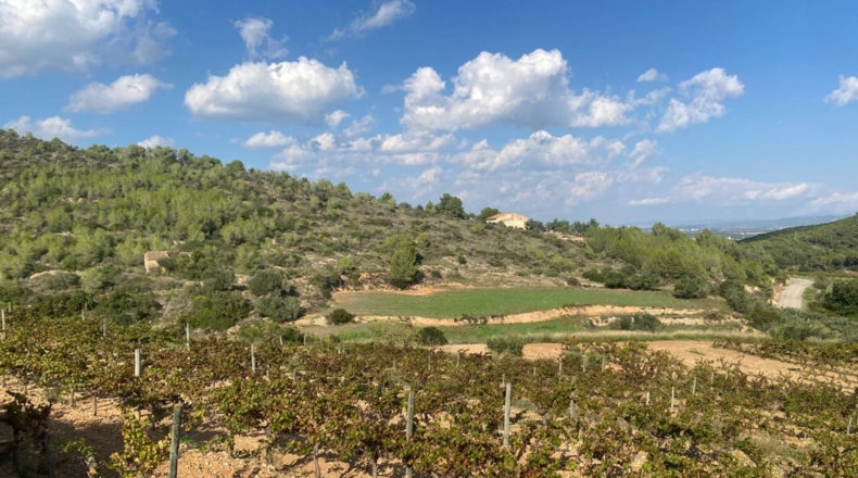 Tarragona - Альбиньяна - 120000m2