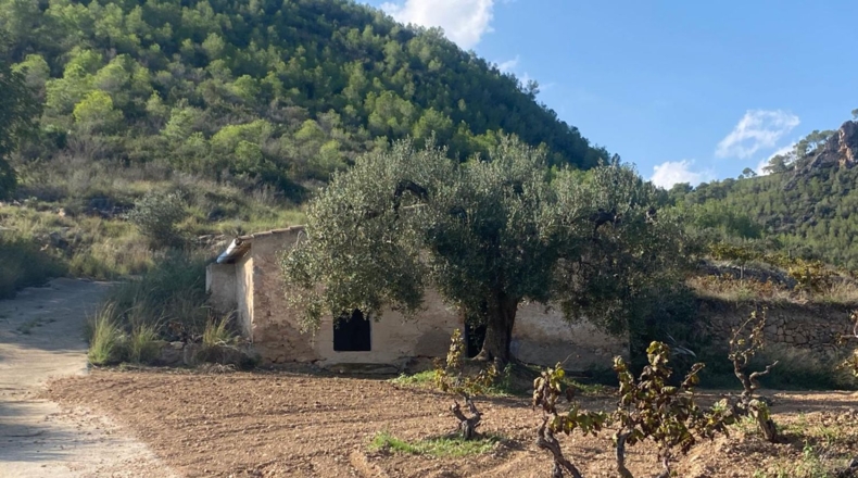 Tarragona - Альбиньяна - 120000m2