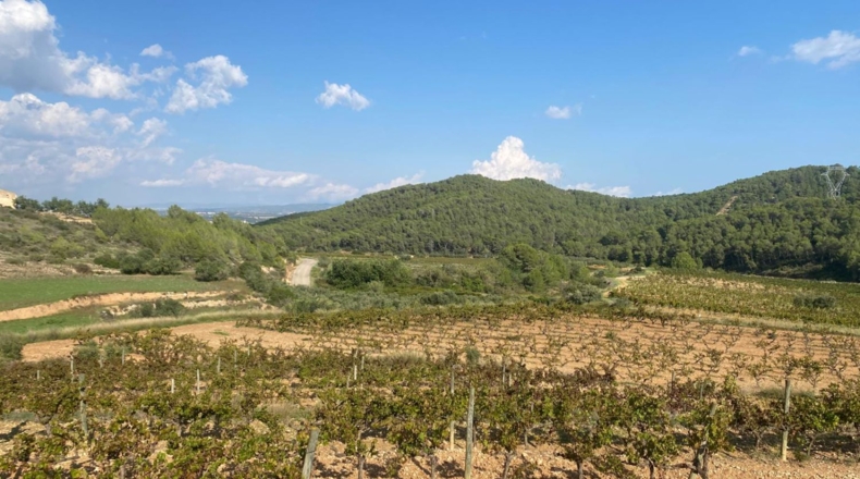 Tarragona - Альбиньяна - 120000m2