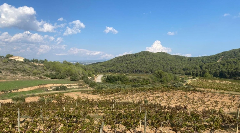 Tarragona - Альбиньяна - 120000m2